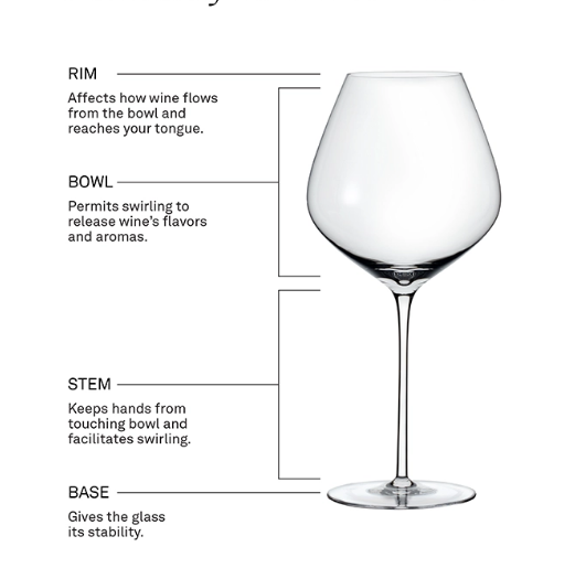 wine glass parts explained